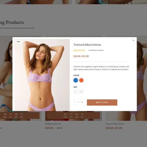 Cosmos - The Best of High-Converting WooCommerce Responsive Theme