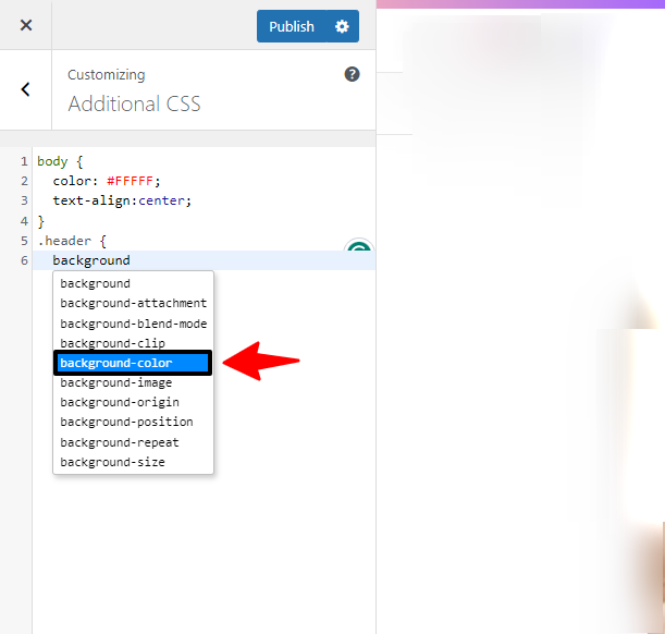Appearance Customize