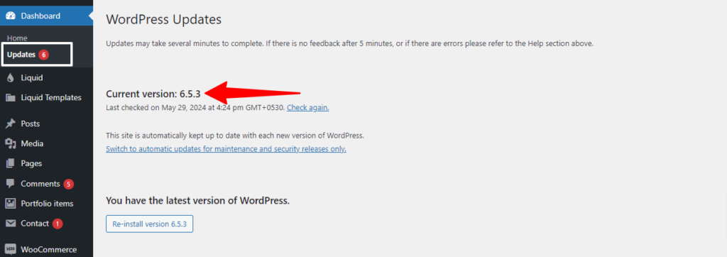 WordPress Updates